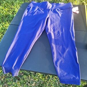 Woman's Plus Size High Wait Leggings By Livi From Lane Bryant Size 22/24 NWT